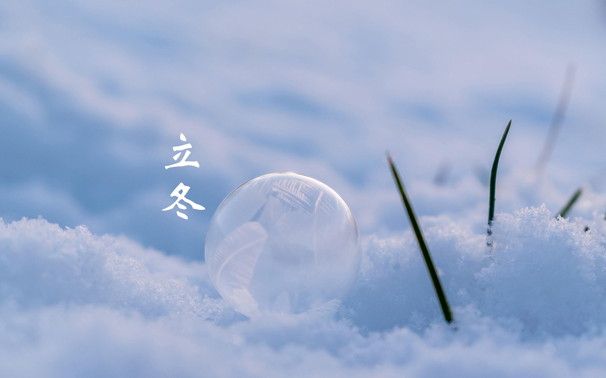 立冬(圖3) 立冬(圖3)